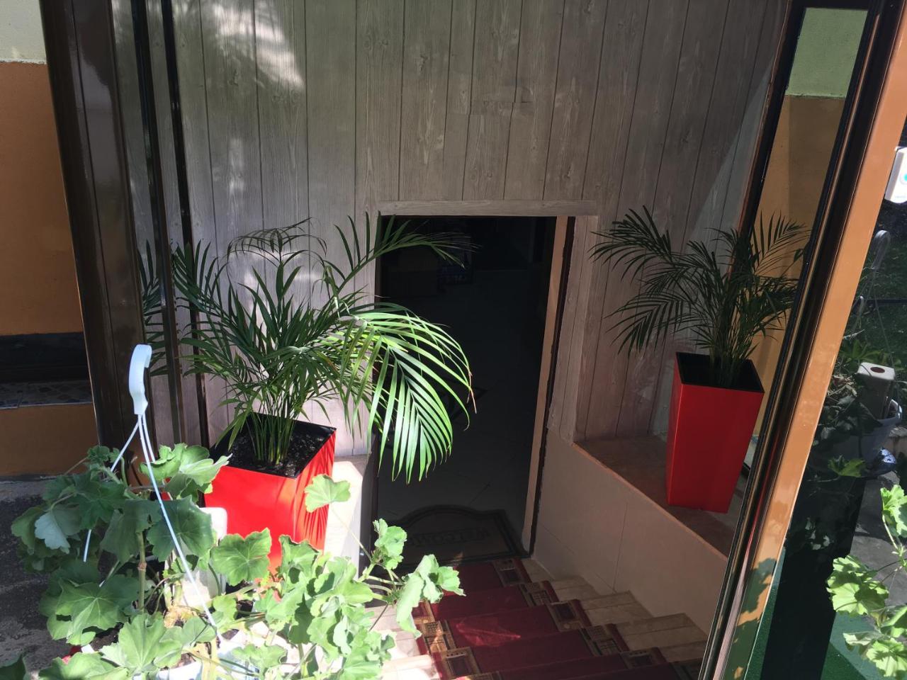 Magic Accommodation Bucarest Esterno foto