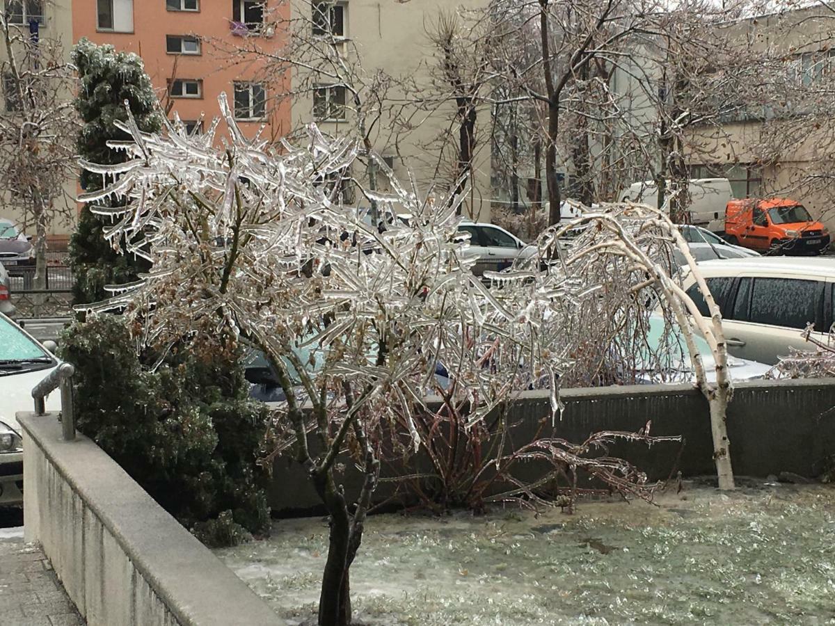 Magic Accommodation Bucarest Esterno foto